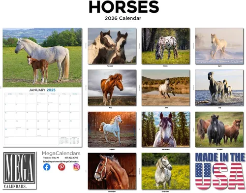 Vista 524 de Calendario de grises africanos 2025 2026 – Planificador mensual de pared de aves africanas – 12 x 18 pulgadas (abierto), calendario de pared