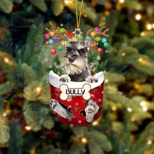 Vista 65 de IZI POD Affenpinscher Adorno de Navidad personalizado para perro, adorno de bolsillo de nieve para perro para árbol de Navidad, adorno acrílico