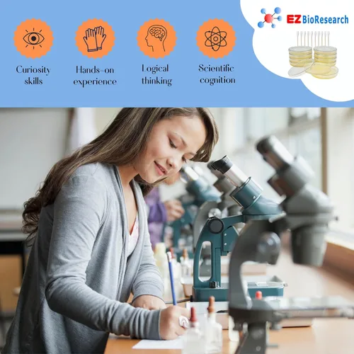 Vista 6 de Kit de ciencias de bacterias EZ Bioresearch (IV): kit de proyecto de ciencias Placas de agar LB preparadas e hisopos de algodón Exclusivo libro