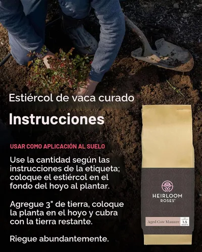 Vista 5 de Paquete de abono de menta y estiércol de vaca añejada por Heirloom Roses