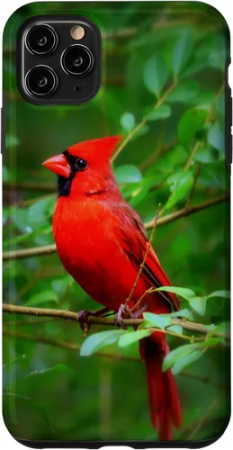 Vista 13 de Hermosa cardenal pájaro rojo escena de la naturaleza caso para iPhone 17