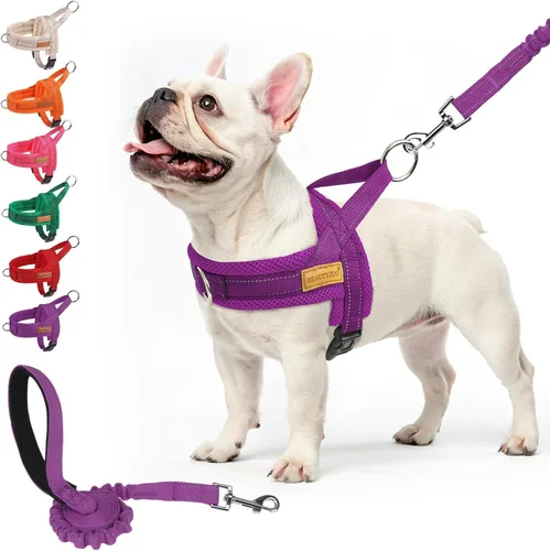 Vista 36 de BEAUTYZOO Arnés para Perros Pequeños, Juego de Arnés y Correa sin Tirones, Arnés de Pecho para Cachorros a Prueba de Escapes con Mango, Arnés Beige
