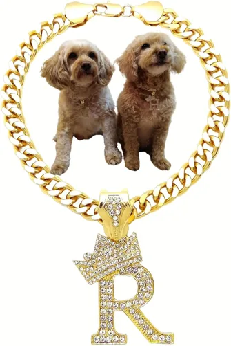 Vista 42 de Collar de cadena con letra inicial cubana para perro, collar de cadena para mascotas, gato, collar para cachorro (S, 25 cm)