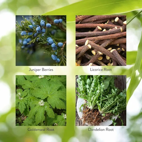 Vista 3 de Nature's Sunshine Pro-Páncreas, 100 cápsulas, Kosher Fórmula herbaria mejora la digestión, promueve la inmunidad y ayuda al hígado y al páncreas
