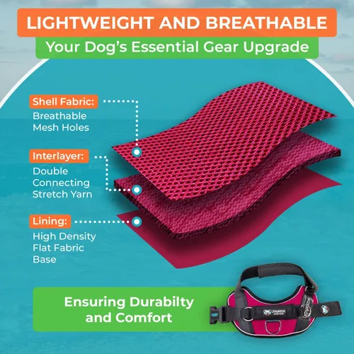 Vista 25 de Joyride Harness Chaleco de malla de verano – Arnés para perro 2.0 sin tirones – Chaleco ajustable y transpirable – Etiqueta de nombre personalizada
