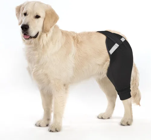 Vista 14 de Funda para patas traseras de perro para dejar de lamer, cubierta mejorada para patas traseras para dejar de resbalar, para cirugía TPLO, condiciones
