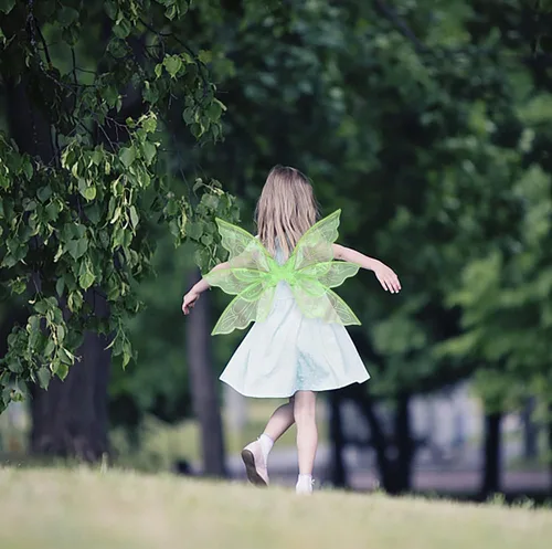 Vista 4 de ALIBBON Fairy Wings Transparent Fairy Wings Costume, Glitter Butterfly Wings Dress Up Accessories