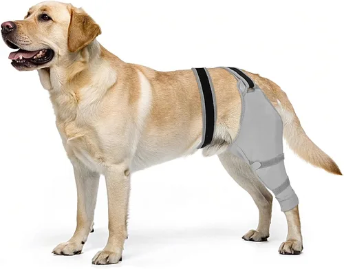 Vista 8 de Funda de pierna trasera para perro para dejar de lamer, protector de pierna trasera para recuperación de TPLO, cirugía de ACL, heridas o problemas