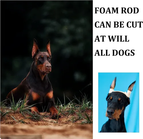 Vista 8 de Pacify Doberman Kit de publicación de orejas de perro, herramienta de soporte para orejas de perro con cinta Doberman Pinscher Dogs