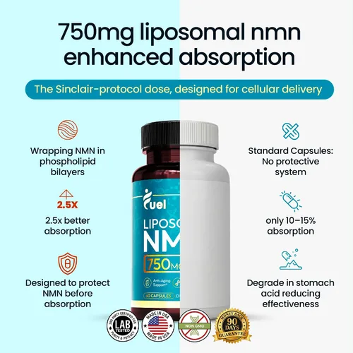 Vista 2 de NMN liposomal de 750 mg por porción (500 mg NMN + 250 mg de TMG) – Suplemento de mononucleótido de nicotinamida de absorción mejorada – Soporte