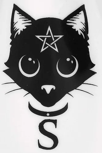 Vista 3 de The Vault Witchy Black Cats - Juego de salero y pimentero con luna creciente al revés y pentagrama