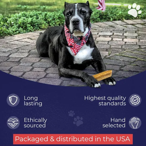Vista 5 de Devil Dog Pet Co. Himalayan Yak Cheese - Masticables para perros, pequeños, paquete de 4, 100% naturales y saludables, sin lactosa, golosinas