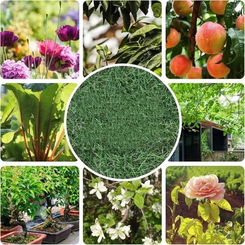 Vista 8 de Tijeras de jardín de alta calidad, tijeras de podar MEPEREZ herramientas de jardinería, podadoras para flores, arbustos, rosas y árboles frutales