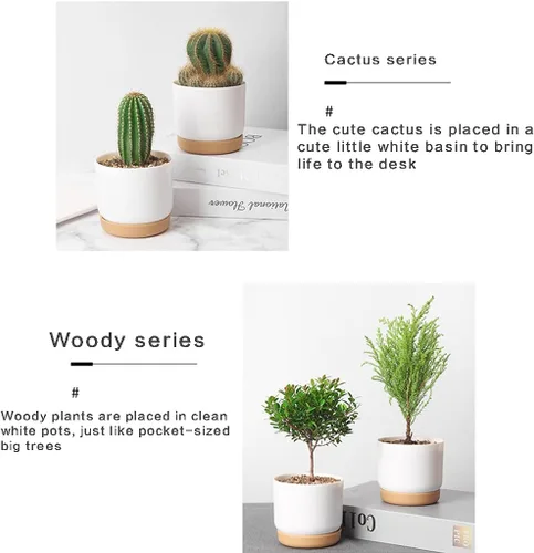 Vista 3 de COOLHOOD Maceta de plástico de cerámica de imitación de alta dureza-Grande/Pequeña Plantadora de suculentas blancas Macetas de plástico Macetas