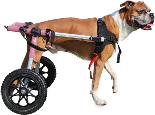Vista 8 de Silla de ruedas de perro para perros pequeños, 26 a 69 libras, de Walkin' Wheels, 5, Azul