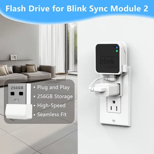 Vista 2 de Unidad flash USB Blink de 256 GB, con soporte de pared con toma de corriente para Blink Sync Module 2, almacenamiento USB Blink y soporte de cámara