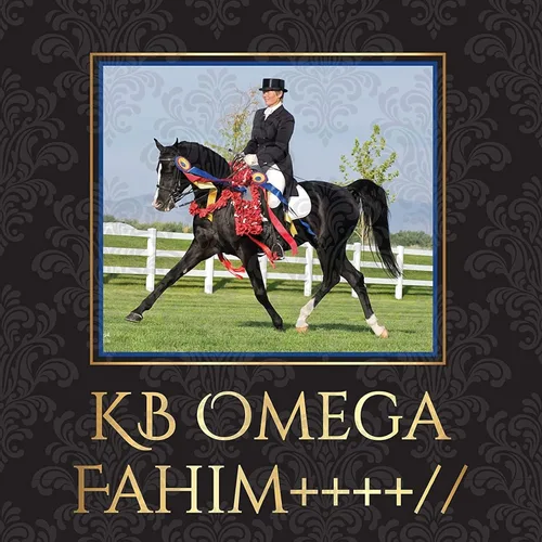 Vista 5 de Breyer KB Omega Fahim 1846, negro