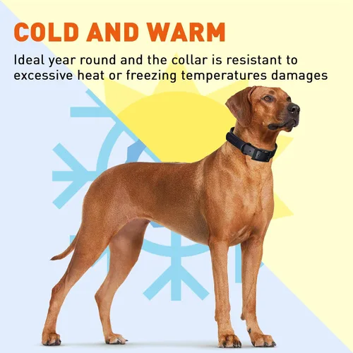 Vista 258 de Dogline Biothane - Collar impermeable para perro con hebilla de liberación rápida, resistente cincha de nailon recubierta con resistente y a prueba