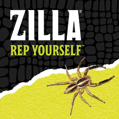 Vista 10 de Zilla Micro Hábitat Terrario, Arrbóreo, con Pestillo de Bloqueo, para Isópodos, Arañas, Insectos, Pequeño