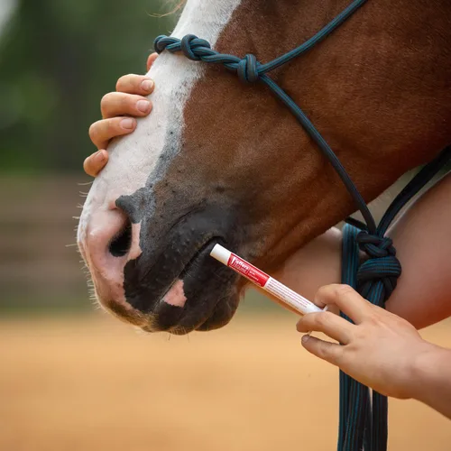 Vista 5 de Jeffers Desparasitante de gel de ivermectina 1.87% para caballos Sabor a