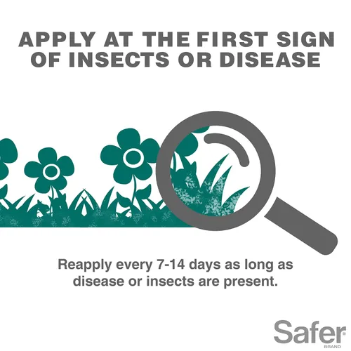 Vista 6 de Safer Brand Neem Concentrado de aceite – insecticida, acicida y fungicida para plantas – Mata insectos y ácaros, controla enfermedades fúngicas