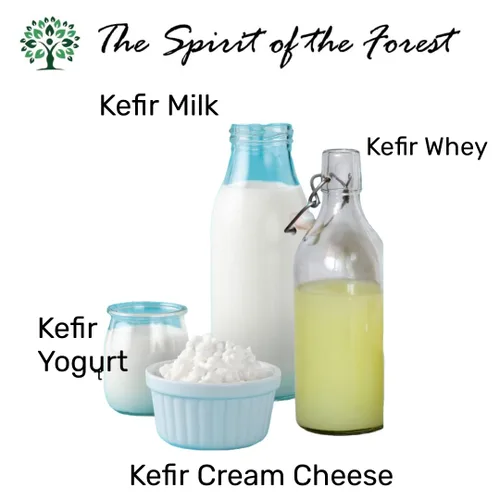 Vista 3 de Granos de kéfir de leche, variedad turca, búlgaros, pajaritos, iniciador probiótico vivo. Granos de kéfir de leche Kantu Live Starter Milk