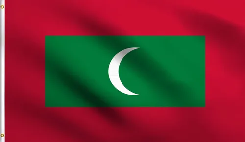 Vista 130 de DMSE - Bandera nacional beninesa beninesa de la República de África Occidental, 2 x 3 pies, 100 % poliéster, 100 % poliéster, resistente a los rayos