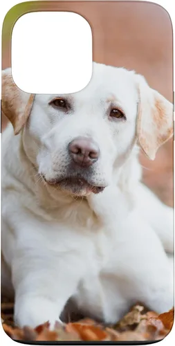 Vista 24 de Labrador Retriever Dog Lover - Carcasa para iPhone 17