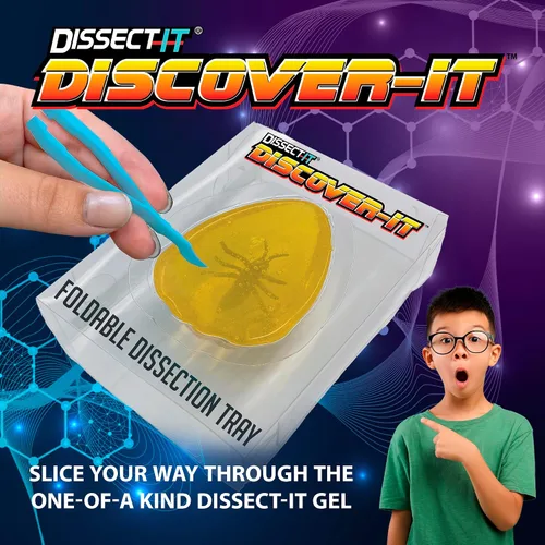 Vista 2 de Discover-It Kit de disección para niños, kit de laboratorio científico de ámbar sintético para aprender sobre insectos, juguetes científicos