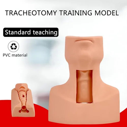 Vista 6 de Entrenador avanzado de traqueotomía simulador de traqueotomía de PVC para entrenamiento de cuidado de cricotirotomía y traqueotomía - Maniquí
