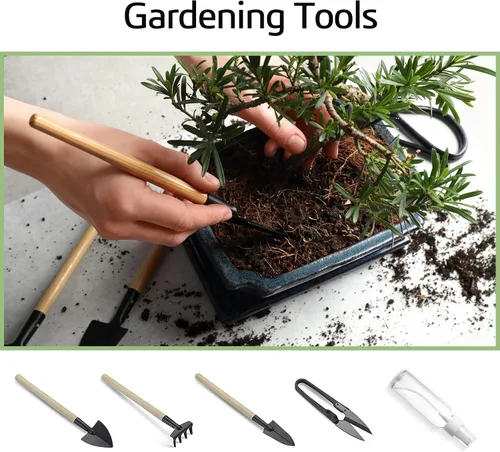 Vista 7 de Meekear Kit de árbol bonsái con kit completo de iniciación de crecimiento, gran regalo de bricolaje para cultivar en maceta para adultos