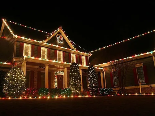 Vista 7 de Novelty Lights Paquete de 25 bombillas de repuesto de cerámica C9 para exteriores Multi