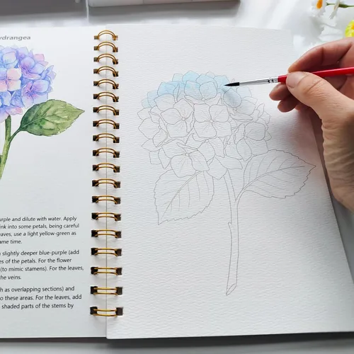 Vista 2 de Cuaderno de trabajo de acuarela 15 hermosas pinturas de flores para adultos y adolescentes principiantes, libro para colorear al agua, 140 libras
