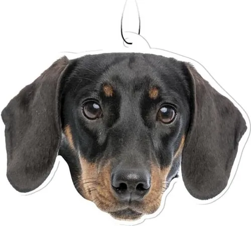 Vista 16 de Spoontiques Beagle Ambientador (3 unidades) – Accesorios y elementos esenciales para el interior del automóvil con temática de perro, desodorante