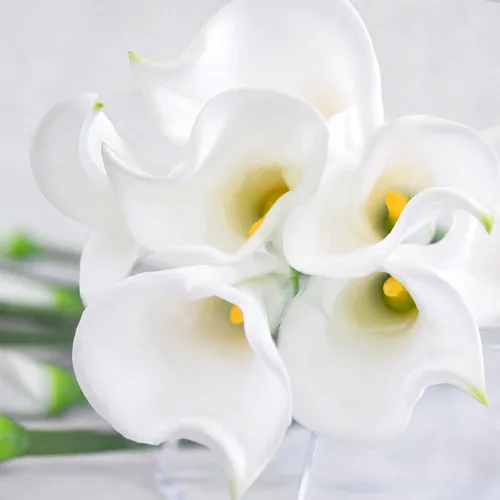 Vista 3 de FiveSeasonStuff Real Touch - Flores artificiales de lirio de cala, arreglos florales para bodas (25 pulgadas, 6 tallos largos, blanco primaveral)