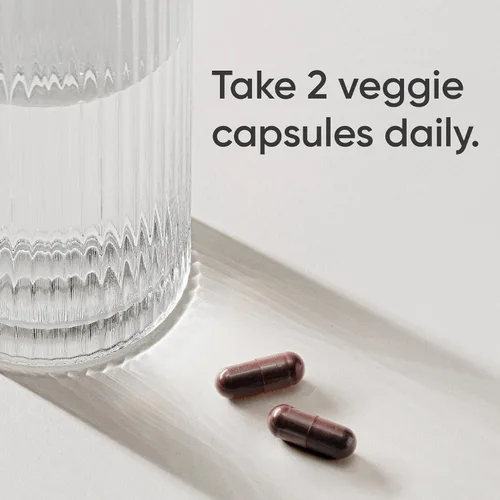 Vista 3 de Sports Research® Soporte inmunológico diario de saúco con zinc, vitamina C, jengibre y vitamina D3 5000iu, sin gluten, verificado sin OMG, sin soja