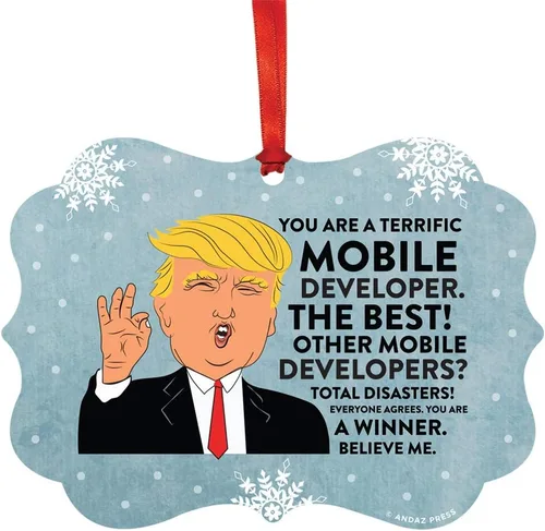 Vista 101 de Andaz Press Presidente Donald Trump Fancy Frame Recuerdo Adorno de Navidad Regalo de broma Ejecutivo de Cuenta, 1 paquete, Divertidas Ideas