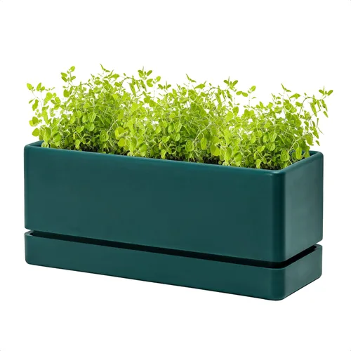 Vista 9 de D'vine Dev - Maceta para ventana de 12 pulgadas, maceta rectangular de plástico para hierbas con agujeros de drenaje y plato, maceta de suculentas