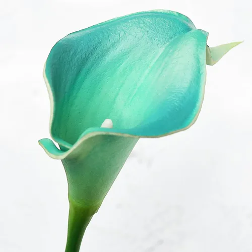 Vista 6 de FiveSeasonStuff Real Touch - Ramo de flores artificiales de lirio de cala para novia, arreglos florales, 15 lirios de cala (azul cerúleo)