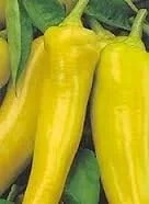 Vista 4 de Semillas de vegetales de plátano dulce y pimienta (100 semillas)