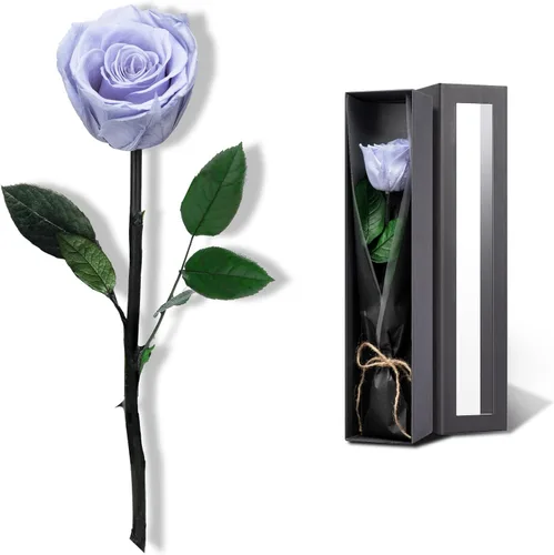 Vista 16 de Flores para Entrega Prime, Rosas Preservadas Regalos de Flores para Mujeres, Rosas Reales Regalos de Rosa Individual para Ella, Regalos