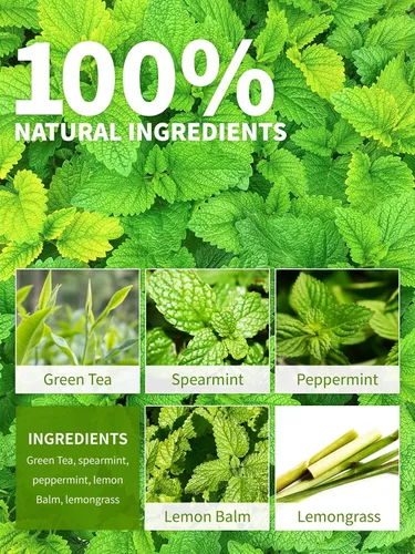 Vista 3 de TeeLux Bolsas de té verde menta, té verde con menta, menta verde y citronela, con cafeína, 100% real y natural, 100