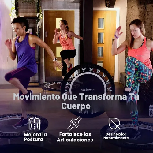 Vista 5 de MaXimus Life, rebotadora de gimnasia profesional con compilado de DVD y manillar