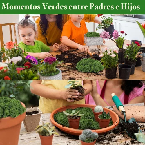 Vista 6 de Musgo artificial artificial de 5.3 onzas para manualidades, musgo decorativo preservado para plantas, jardín de hadas, bricolaje, paredes Verde