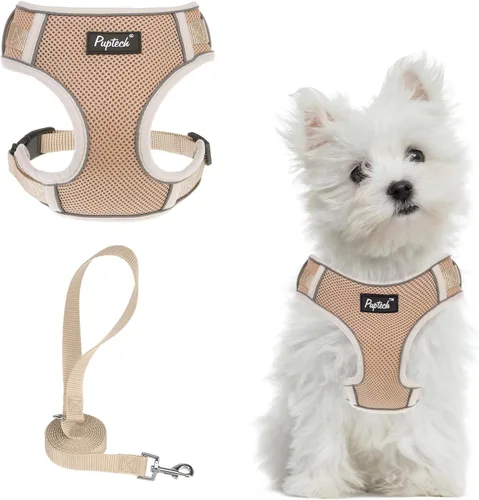 Vista 51 de PUPTECK Juego de arnés y correa para perro pequeño, arnés ajustable sin tirones para cachorro, chaleco de malla suave reflectante para mascotas
