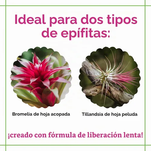 Vista 3 de Grow More Bromeliad Tillandsia Food (17-8-22) - 1.25 libras de fertilizante soluble en agua para plantas de aire - Fertilizante de liberación lenta