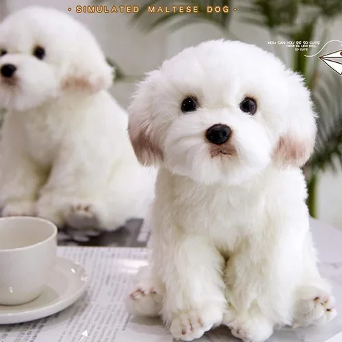 Vista 2 de Perro maltés de peluche realista de 14 pulgadas, juguetes de peluche para cachorros, almohada de felpa suave para cumpleaños para niños y adultos