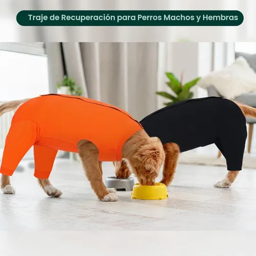 Vista 8 de Kuoser Traje de Cirugía para Perro Hembra Esterilización Macho Castración, Manga de Pierna de Perro para Dejar de Lamer Enterizo Suave para Perro