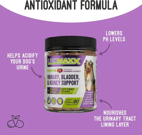 Vista 2 de Uromaxx Tratamiento de infección del tracto urinario para perros, soporte para la vejiga y los riñones, masticables suaves, para todas las edades
