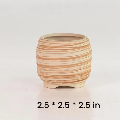 Vista 4 de Conjunto de macetas de 3 pulgadas de cerámica de madera suculenta SUN-E 6In /maceta para cactus